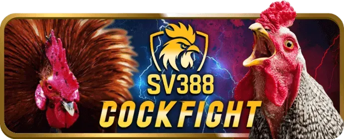 Khuyến mãi quà tặng sinh nhật và sự kiện đặc biệt VN333